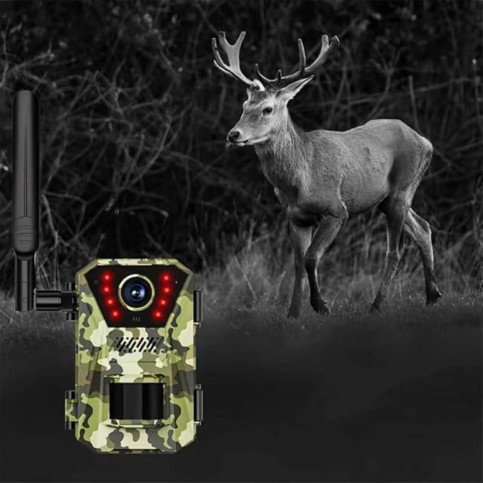 Outdoor Infrared Wildlife Camera – Motion Activated, Night Vision, HD Auto-Shoot
