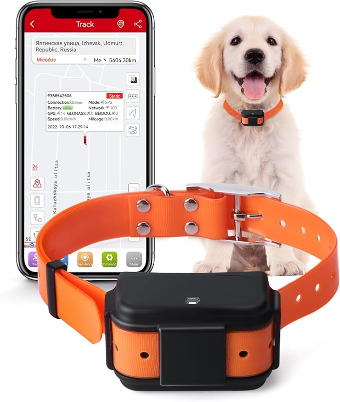 P016 4G LTE Hunting Dog GPS Tracker