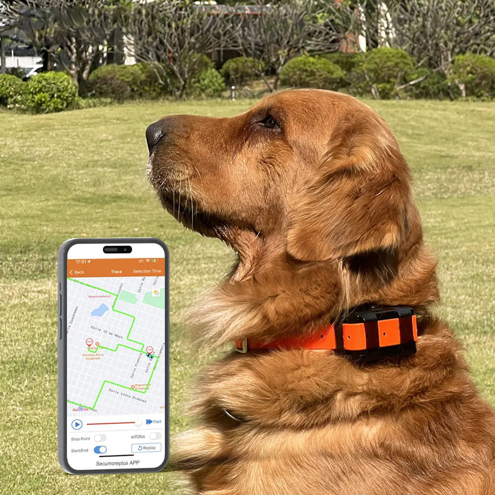 4G LTE Hunting Dog GPS Tracker Collar with Electric Shock Training