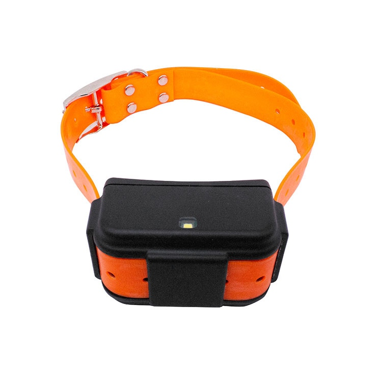 P016 4G LTE Hunting Dog GPS Tracker