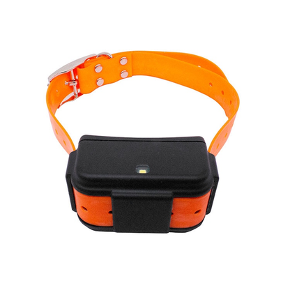 P016 4G LTE Hunting Dog GPS Tracker