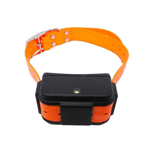P016 4G LTE Hunting Dog GPS Tracker